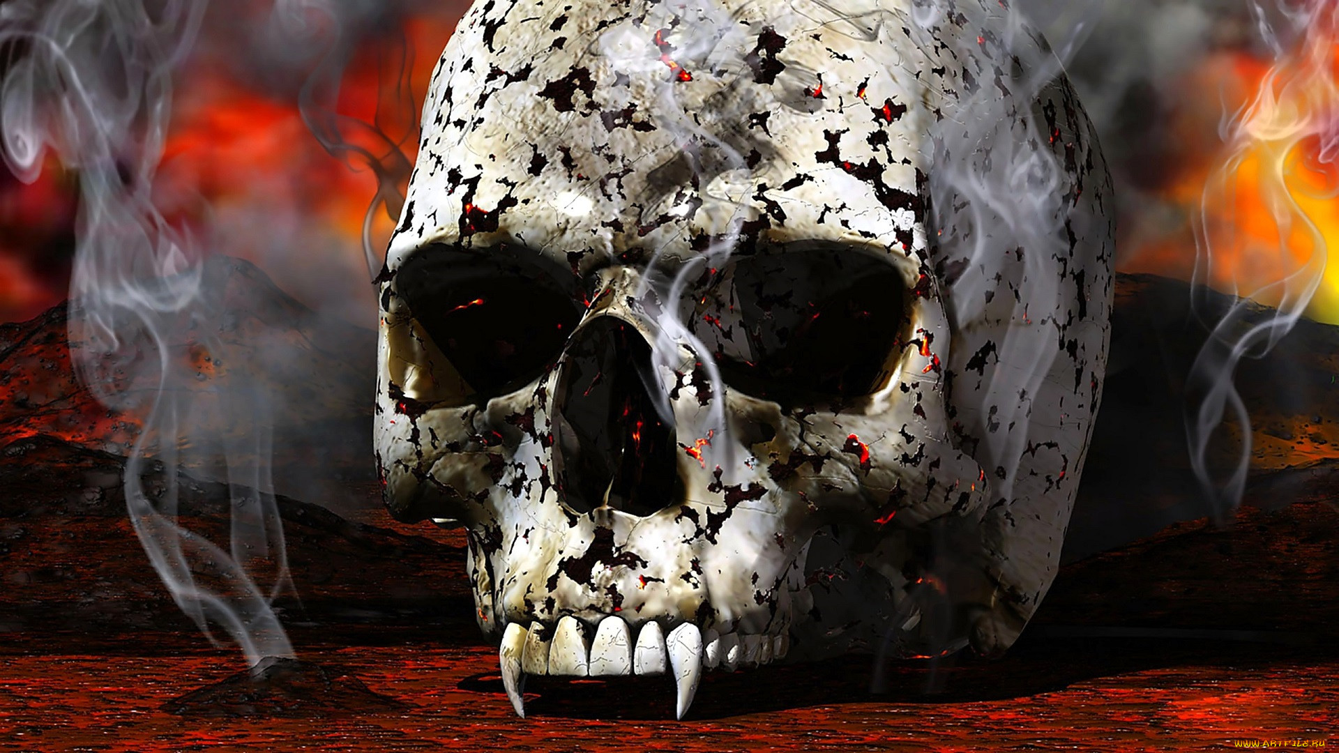 3 ,  , horror, , , , 